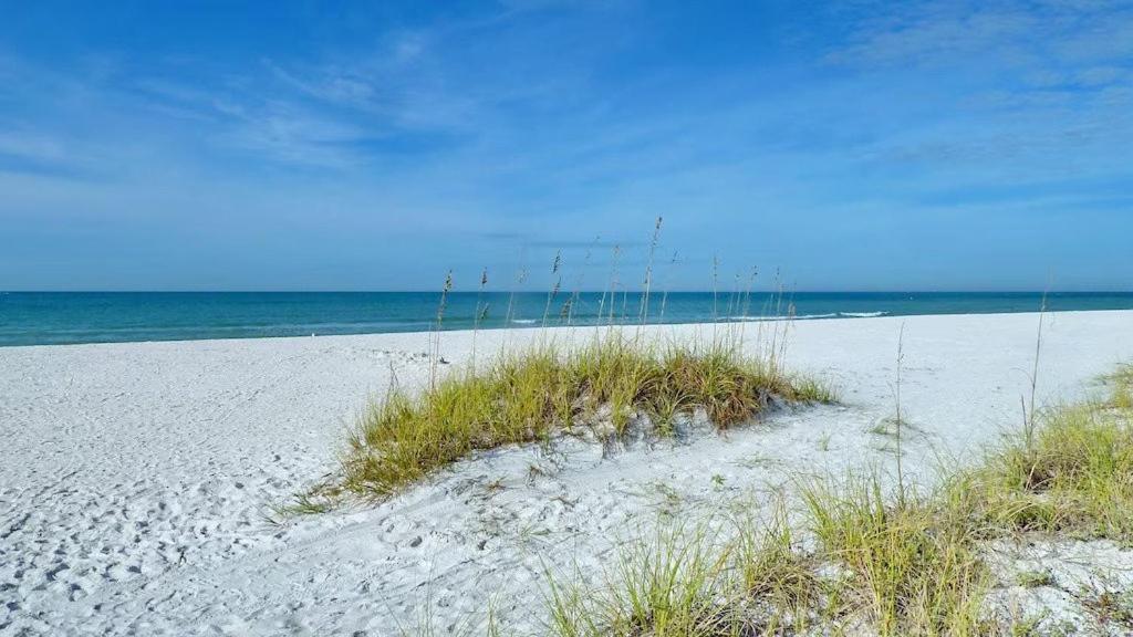 Beach Palms- Unit 102 Aparthotel Clearwater Beach Exteriör bild